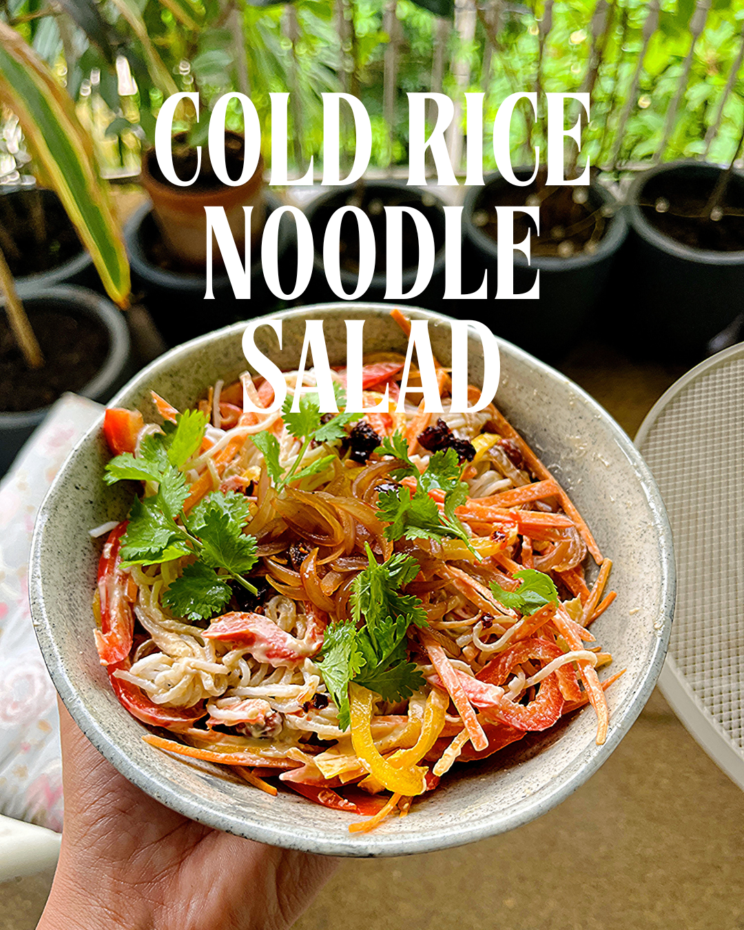 🥢 Cold Rice Noodle Salad with Thai Peanut Chili Sauce